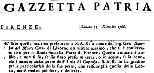 Gazzetta Patria