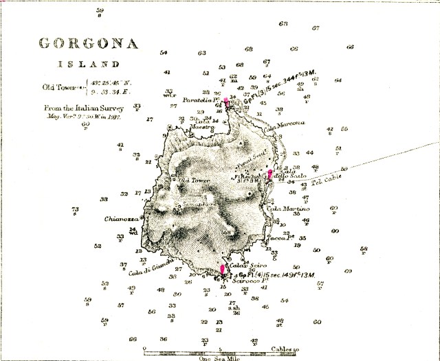 Gorgona Island