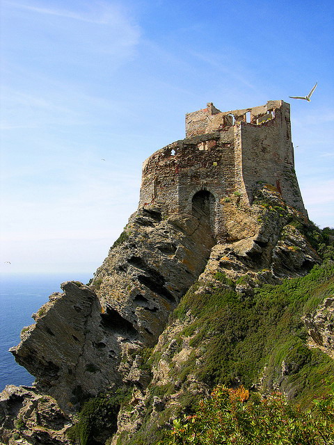 La Torre di Gorgona