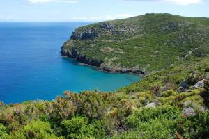 Monte Capo e la Baia della Mortola