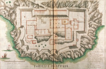 102-Accinelli Forte.